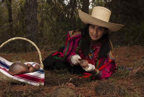 Día de la Mujer: Cinco peruanas que hacen ciencia e inspiran con sus historias