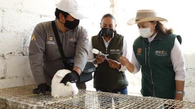 REALIZA GEM VACUNACIÓN EN 85 POR CIENTO DE SU INVENTARIO CUNÍCOLA REALIZA GEM VACUNACIÓN EN 85 POR CIENTO DE SU INVENTARIO CUNÍCOLA