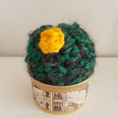 CACTUS TWENTY-NINE CACTUS TWENTY-NINE