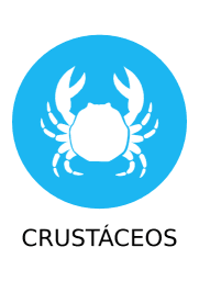 Canelón de centollo y bechamel de erizos de mar