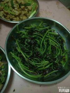 【亚博APP下载】铿锵玫瑰枫叶之国出彩 时隔8年进8强美国队约么? 【亚博APP下载】铿锵玫瑰枫叶之国出彩 时隔8年进8强美国队约么?