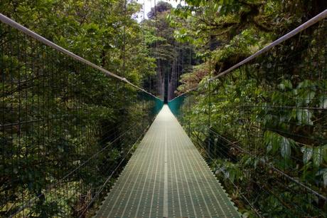 Qué ver y hacer en Monteverde