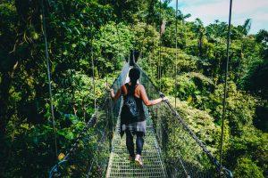 Qué ver y hacer en Monteverde