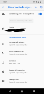 El botón “Crear una copia de seguridad ahora”. Se muestra en gris (desactivado) Botón copia de seguridad deshabilitado
