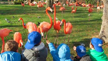 Actividades en la capital para unas vacaciones diferentes