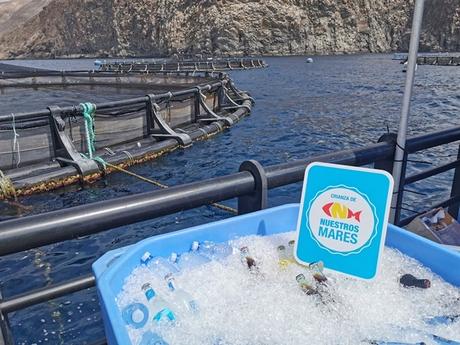 Tiradito de dorada, receta peruana Tiradito de dorada, receta peruana