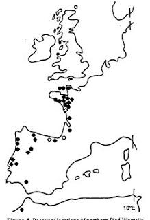 De vuelta a su hogar escocés De vuelta a su hogar escocés