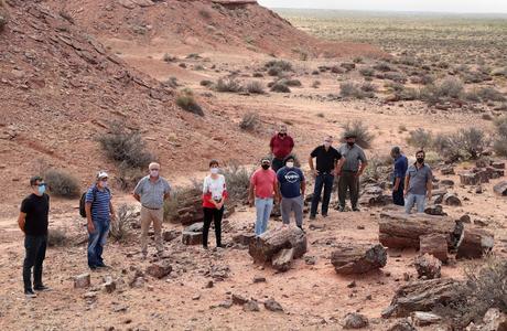 El Sauce tendrá un museo sobre el bosque petrificado