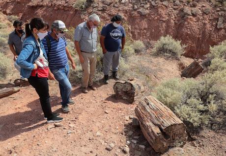 El Sauce tendrá un museo sobre el bosque petrificado