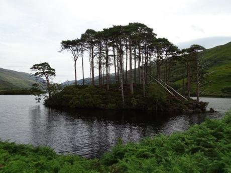 Escocia de cine: Harry Potter y la tumba de Dumbledore Escocia de cine: Harry Potter y la tumba de Dumbledore