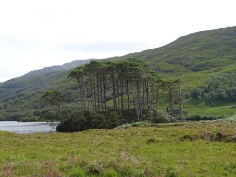 Escocia de cine: Harry Potter y la tumba de Dumbledore Escocia de cine: Harry Potter y la tumba de Dumbledore
