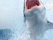 tiburón blanco depredador grande planeta