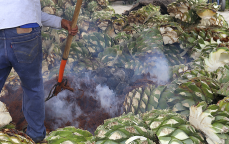 CRM empañado por señalamientos a Hipócrates Nolasco, su presidente CRM empañado por señalamientos a Hipócrates Nolasco, su presidente