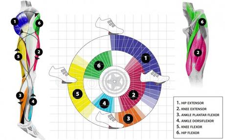Técnicas para obtener el pedaleo perfecto