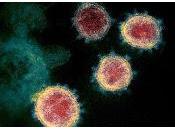 vacunas contra Covid poco efectivas nuevas cepas