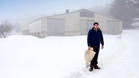 Solo las bestias, no es simple coincidencia