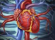 Encuentran Causa como Tratar Cardiopatía Diabética