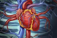 El Agotamiento aumenta el riesgo de ataque cardíaco en los hombres El Agotamiento aumenta el riesgo de ataque cardíaco en los hombres