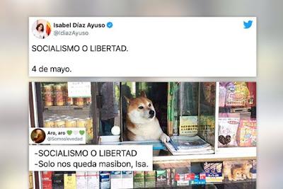 El cisma político que salta por los aires y los “tamayazos” más sonados de la historia de la democracia.
