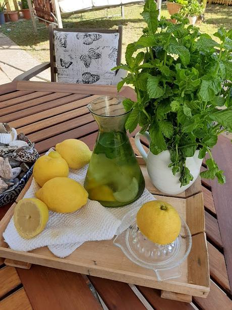 ELECTROLITOS CASEROS