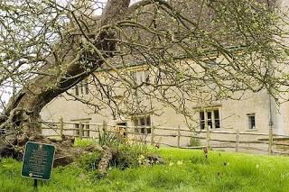 El manzano de Newton