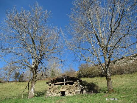 Ambingue-Viores-El Picu Cuniu-Medandi