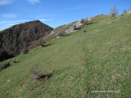 Ambingue-Viores-El Picu Cuniu-Medandi