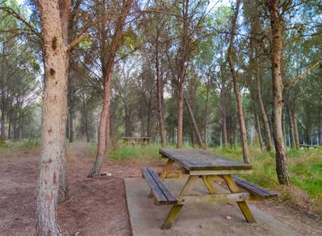 Lugares para hacer picnic sin salir de la ciudad de Zaragoza Lugares para hacer picnic sin salir de la ciudad de Zaragoza