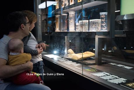 Álex, Éric y Quim en el Museu Blau
