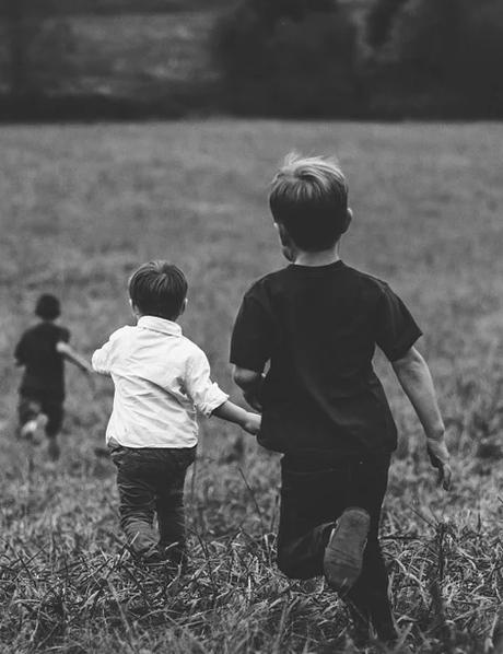 Una distopía o el jardín del horror al que nos han llevado nuestros propios errores