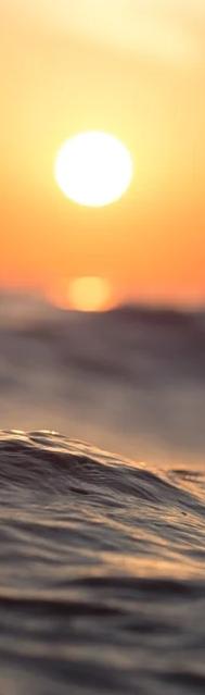 Una distopía o el jardín del horror al que nos han llevado nuestros propios errores