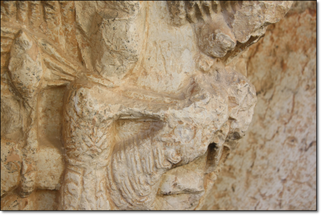 Edén en Bocigas de Perales