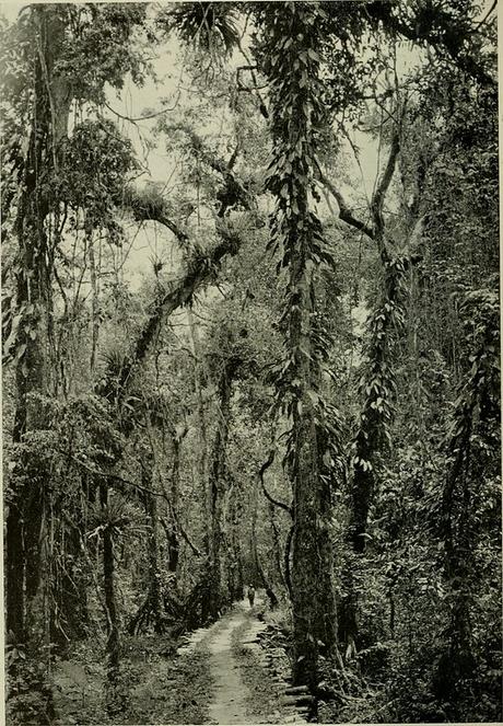 El corazón de las tinieblas - Joseph Conrad