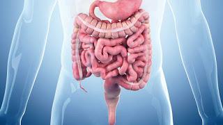 Secuelas gastrointestinales de COVID-19