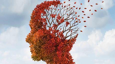 ¿Aprender y retener u olvidar y reaprender?