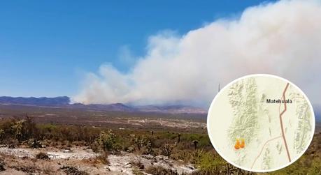 Se registra incendio forestal en el Sitio Sagrado Natural Wirikuta