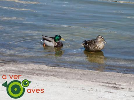 180 parques que también quieren disfrutar los escolares de primaria