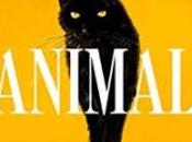 «Animal» Leticia Sierra