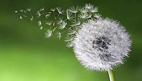 El poder de lo real en un mundo efímero