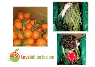 MUSLOS DE PATO EN SALSA DE CÍTRICOS MUSLOS DE PATO EN SALSA DE CÍTRICOS