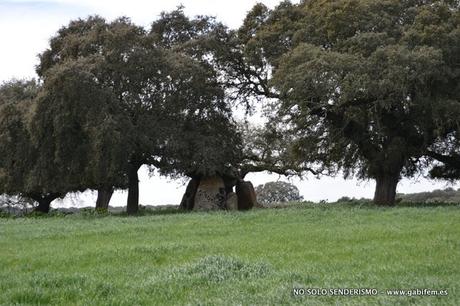 Camino del Campillo