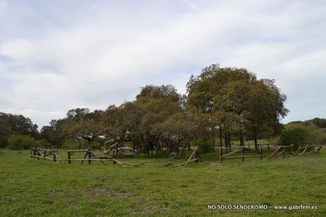 Camino del Campillo