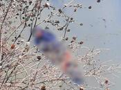 Localizan cuerpos flotando Santiago