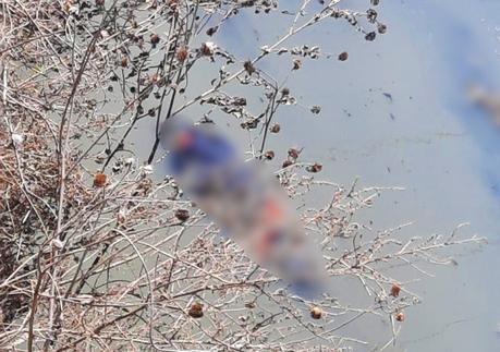 Localizan dos cuerpos flotando en el Río Santiago