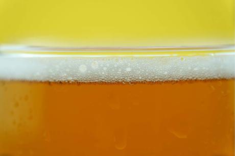 La cultura de cerveza Salitos por TuPonesElVaso