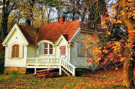 Estructuras de Madera: ¿Son seguras las casas de madera en Canarias?