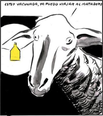 Iglesias se tira del tren del Gobierno en marcha para presentarse a las elecciones de la Comunidad de Madrid.