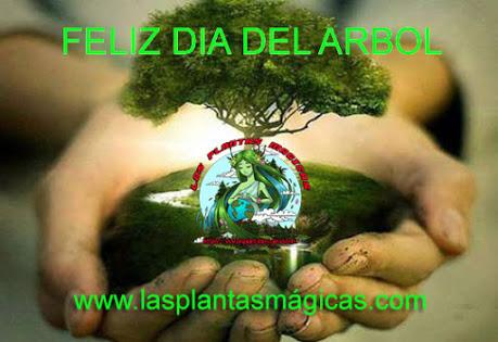 Feliz día del árbol Feliz día del árbol