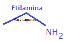 Antihistamínicos y las alergias estacionales