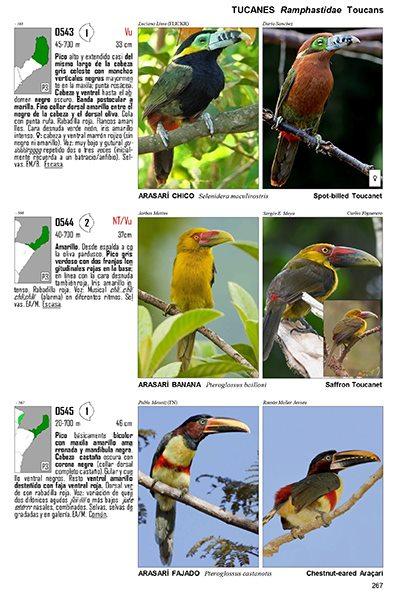 Guía Audiornis de las Aves de Argentina